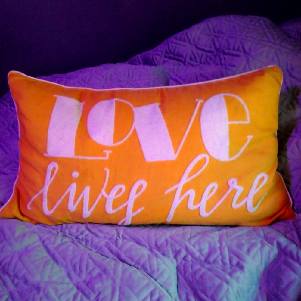 Cynthia Rowley pillow. Love lives here. Bitter yellow.